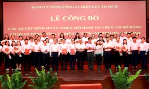 Hoàn thiện mô hình tổ chức cơ sở đảng Cơ quan Tổng Công ty Điện lực TP. Hồ Chí Minh